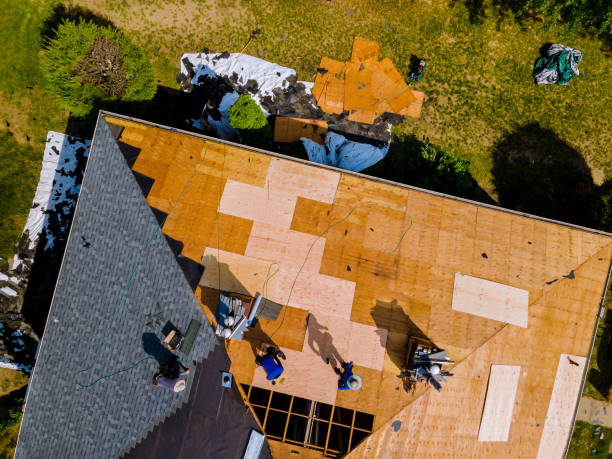 Best Roof Restoration Services  in Morrisonville, NY