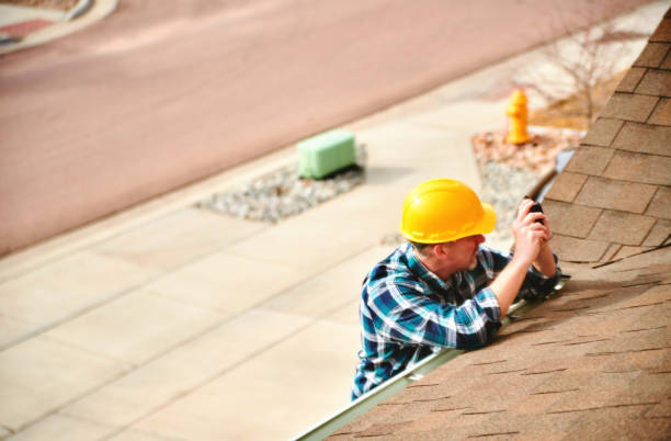 Best Roof Gutter Cleaning  in Morrisonville, NY