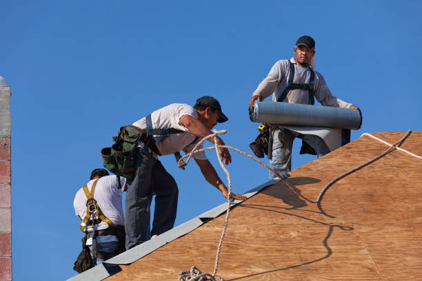 Best Metal Roofing Contractor  in Morrisonville, NY